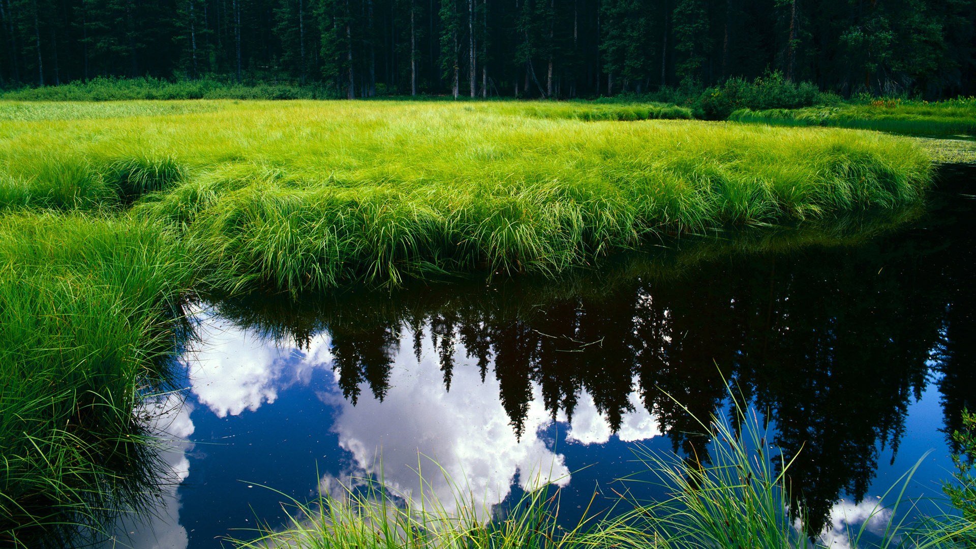 开云棋牌-“英超领跑球队开启新一轮攻势”，英超son