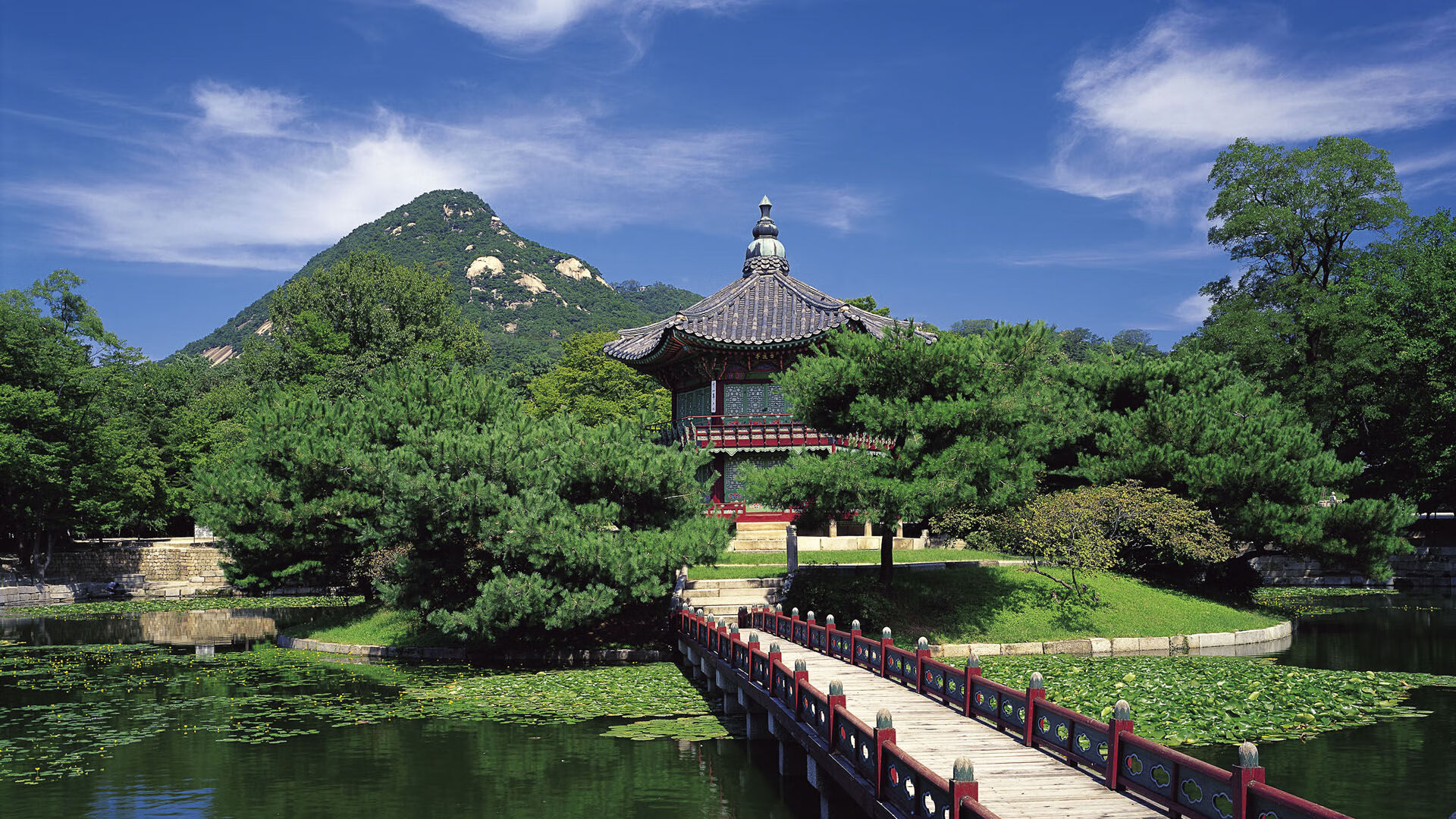 开云网页-【心理调适】明星球员在比赛高压下的应变之道