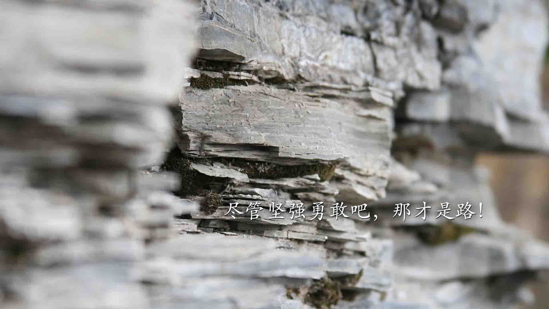 全民健身事业为加快建设体育强国、健康中国增添动能，为中华民族伟大复兴提供坚实健康基础和强大精神力量